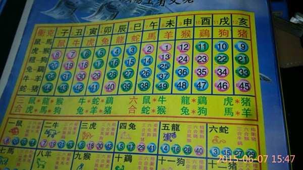 揭秘12生肖開獎記錄，歷史數據與趨勢分析，揭秘生肖開獎記錄，歷史數據與趨勢深度分析