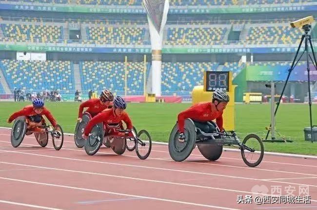 探索澳門未來，2025新澳門正版免費資本車展望，澳門未來展望，2025資本車正版免費探索之旅