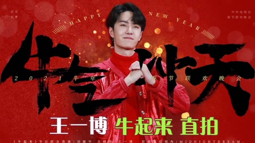 王中王一肖中特論壇鐵板，深度解析與SEO優(yōu)化策略，王中王一肖中特論壇鐵板深度解析與SEO優(yōu)化策略探討