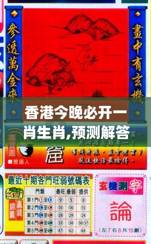 香港與彩王中王精準(zhǔn)一肖，揭秘彩票背后的秘密，揭秘彩票背后的秘密，香港與彩王中王精準(zhǔn)一肖探究