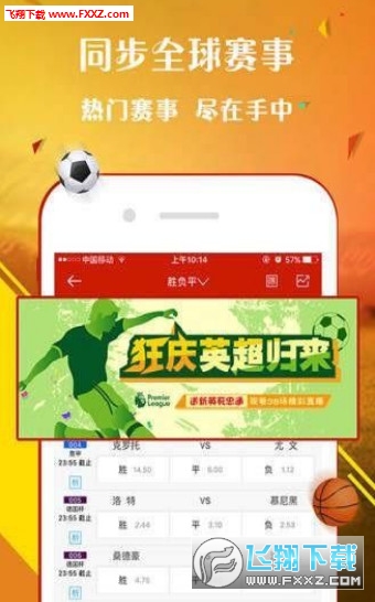 揭秘李天師平特一肖王中王的神秘面紗，李天師平特一肖王中王揭秘，神秘面紗下的真相探索