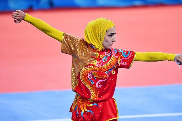 揭秘504王中王一肖，背后的故事與傳奇，揭秘王中王一肖傳奇，背后的故事與神秘面紗