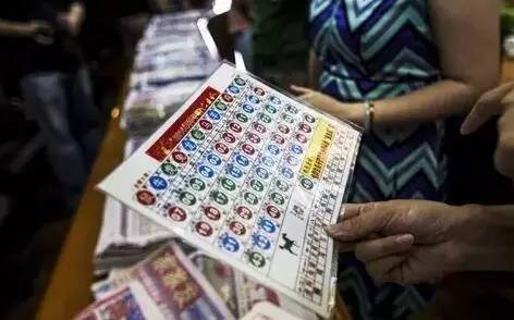 香港王中王開(kāi)獎(jiǎng)結(jié)果查詢(xún)，今晚開(kāi)獎(jiǎng)盛況一覽，香港王中王開(kāi)獎(jiǎng)結(jié)果查詢(xún)，今晚盛況揭曉，最新開(kāi)獎(jiǎng)信息一覽