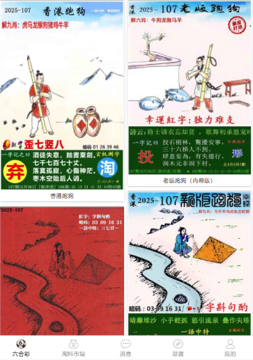 2004新澳門(mén)天天開(kāi)好彩大全正版——全面解析與回顧，澳門(mén)彩票解析與回顧，2004年天天好彩正版大全