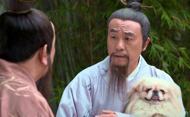 揭秘劉伯溫玄機(jī)，一肖期期準(zhǔn)的秘密，劉伯溫玄機(jī)揭秘，精準(zhǔn)預(yù)測(cè)生肖運(yùn)勢(shì)的秘密