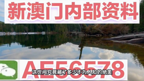 探索未來，2025新澳最新版精準(zhǔn)特色解析，探索未來，揭秘新澳最新版精準(zhǔn)特色解析（2025版）