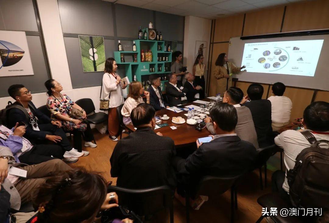 最新澳門六合開彩，探索與解析，澳門六合開彩最新解析與探索