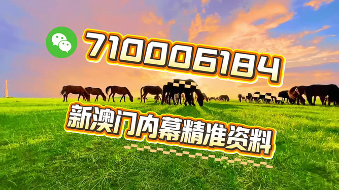 澳門今晚必開一肖一特，探索生肖與特碼預(yù)測(cè)的背后秘密，揭秘澳門今晚生肖與特碼預(yù)測(cè)背后的秘密