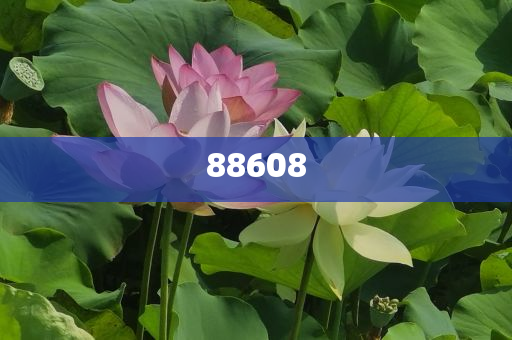 2025正版資料免費(fèi)公開，獲取優(yōu)質(zhì)資源的全新時代，優(yōu)質(zhì)資源免費(fèi)公開，開啟全新時代獲取優(yōu)質(zhì)資料之旅