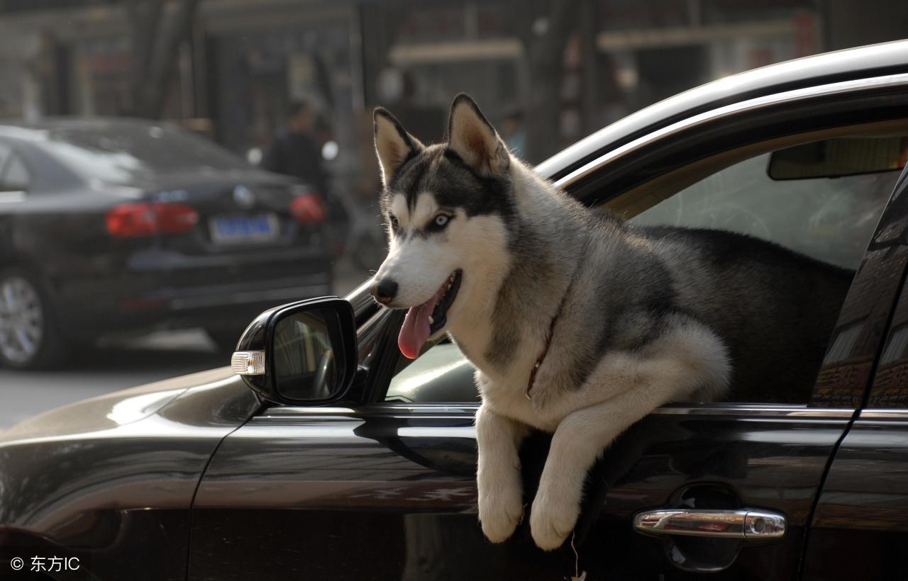 彩票背后的秘密 第18頁(yè)