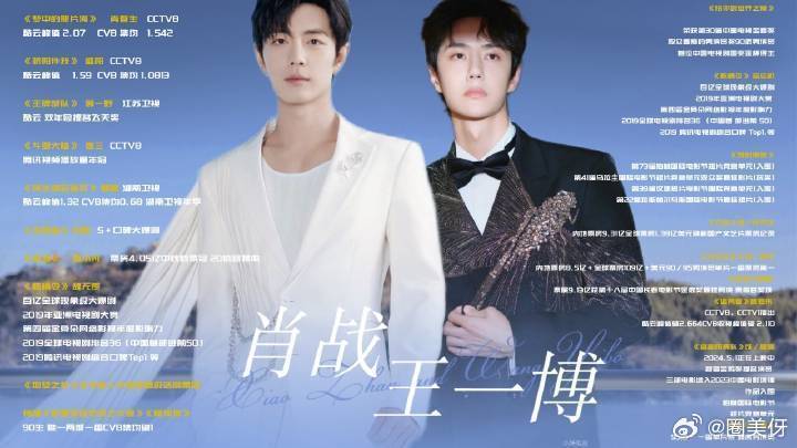 王中王一肖資料詳解，王中王一肖資料大全解析