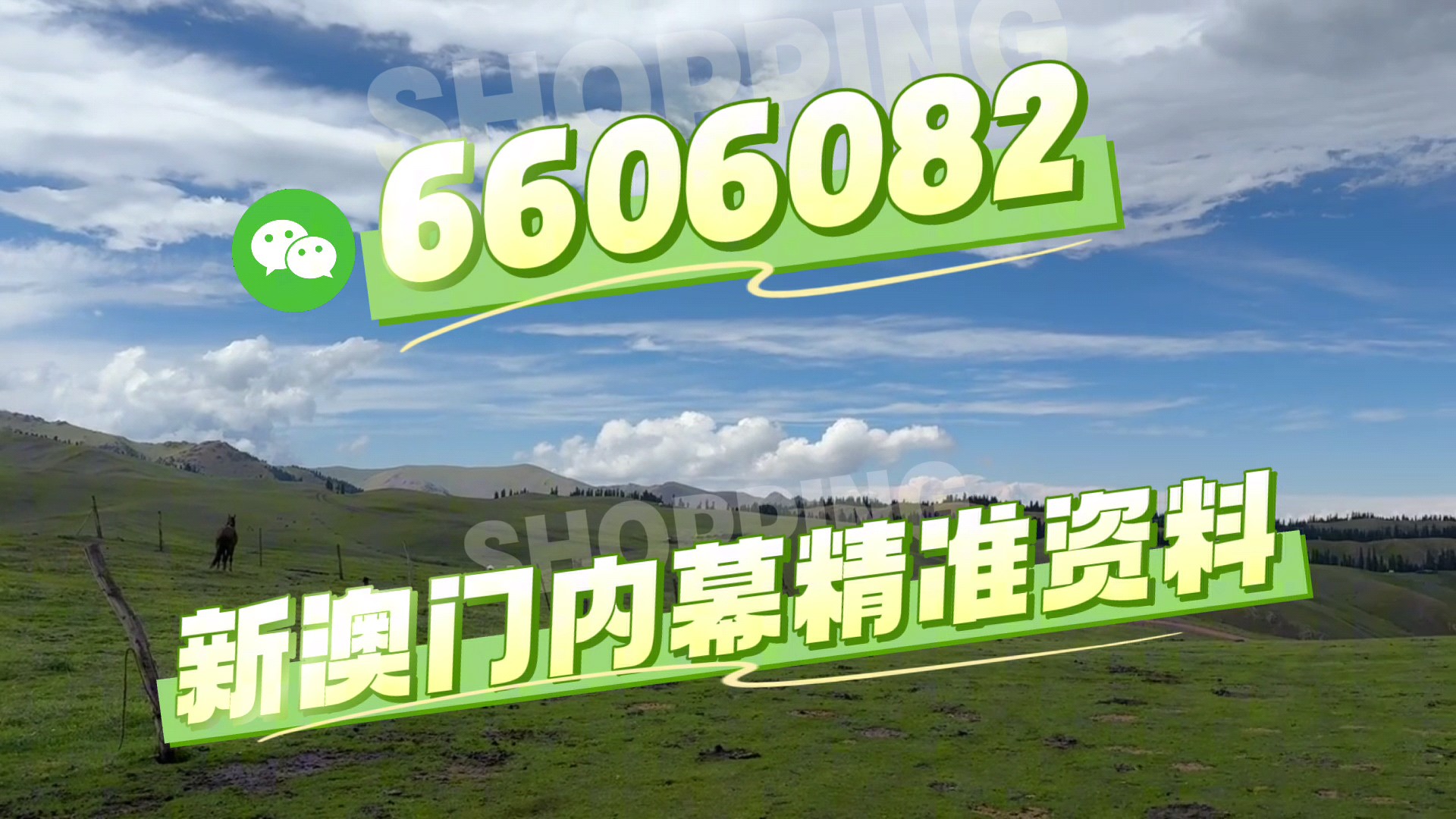 最快澳門今晚必中一肖一碼2025王中王開獎十，揭秘彩票背后的秘密與策略，揭秘彩票背后的秘密與策略，澳門今晚必中一肖一碼王中王開獎預(yù)測（2025年）