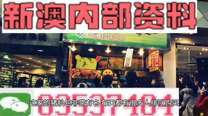 2025新澳精準資料大全——一站式獲取所有你需要的信息，2025新澳精準資料大全，一站式獲取所有所需信息