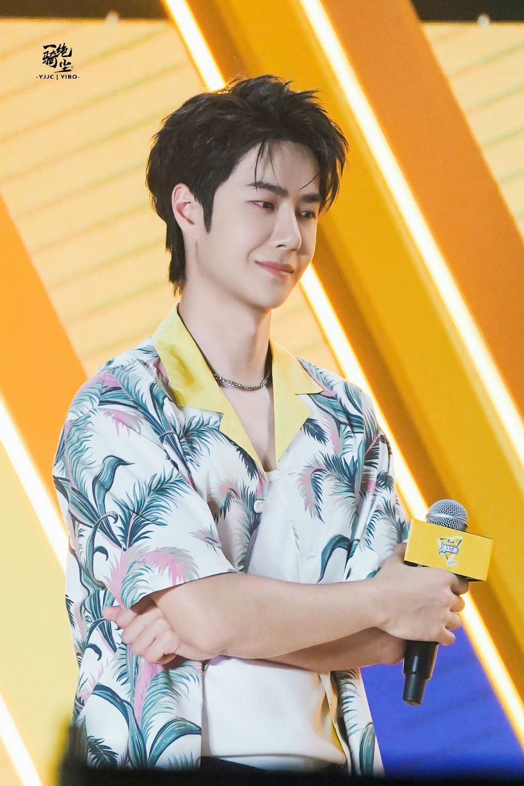 王中王一肖中特家婆，深度解讀背后的故事與奧秘，王中王一肖背后的故事與奧秘深度解讀