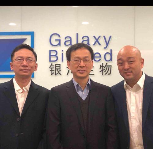 關(guān)于代碼000806的奧秘，深度解析與SEO優(yōu)化策略，代碼000806奧秘揭秘，深度解析與SEO優(yōu)化策略探討