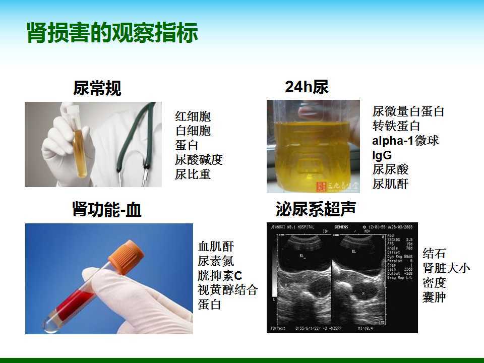 尿酸水平升高與腎臟健康，尿酸460是否意味著腎臟已經(jīng)受損？，尿酸水平升高與腎臟健康關(guān)系解析，尿酸460是否預(yù)示腎臟受損？
