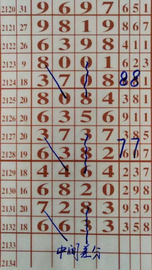 79期王中王三肖一碼，深度解析與SEO優(yōu)化策略，79期王中王三肖一碼深度解析與SEO策略全解析