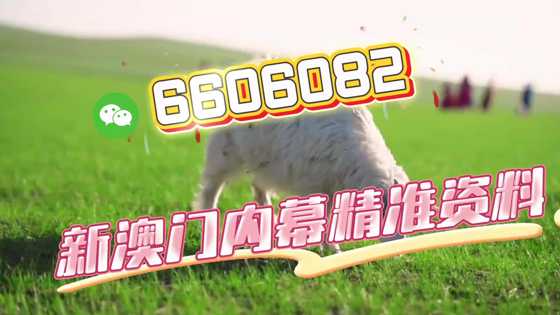 澳門今晚必中一肖一碼精準(zhǔn)預(yù)測——揭秘博彩文化中的獨(dú)特魅力，澳門博彩文化揭秘，今晚必中一肖一碼精準(zhǔn)預(yù)測的獨(dú)特魅力