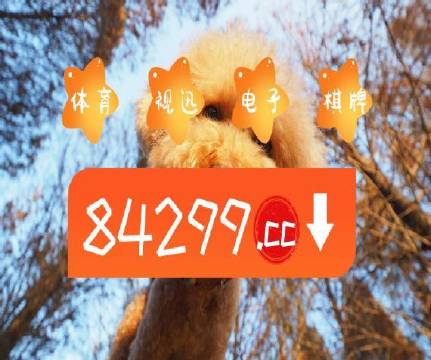 澳門天天開彩大全免費(fèi)——彩票愛好者的福音，澳門天天開彩大全免費(fèi)，彩票愛好者的福音資訊