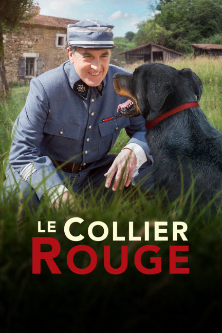 揭秘劉伯溫四不像必中一肖的神秘預(yù)測，劉伯溫四不像預(yù)測揭秘，神秘生肖預(yù)測法必中一肖