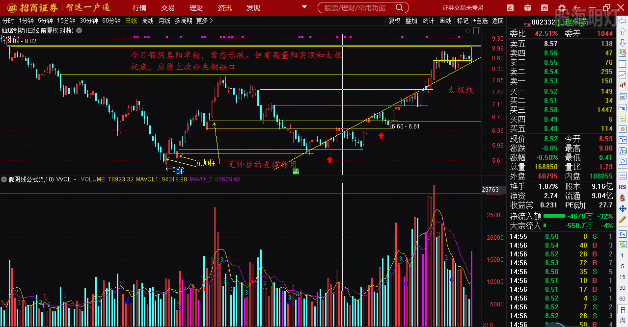 仙琚制藥股票（代碼，002332）深度解析，仙琚制藥股票深度解析（代碼，002332）