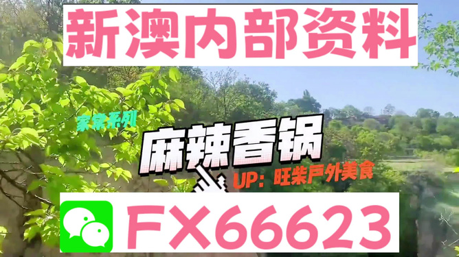 新澳精準(zhǔn)資料免費(fèi)提供，探索與實(shí)踐的指南，新澳精準(zhǔn)資料免費(fèi)分享，探索與實(shí)踐的導(dǎo)航指南