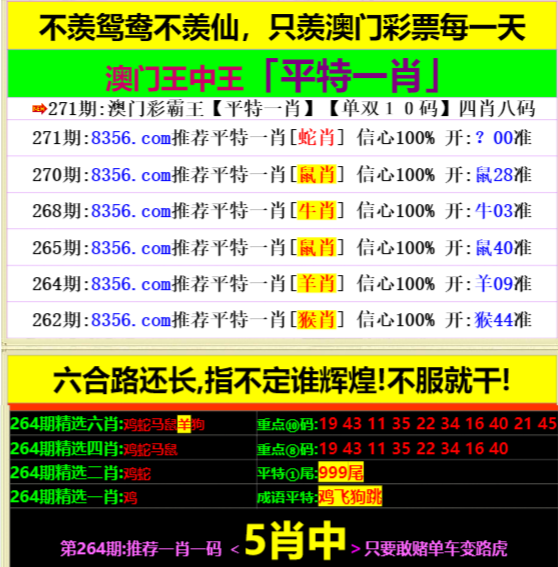 一肖中特兔費公開資料王中王——揭秘彩票背后的秘密，揭秘彩票背后的秘密，一肖中特兔費公開資料王中王