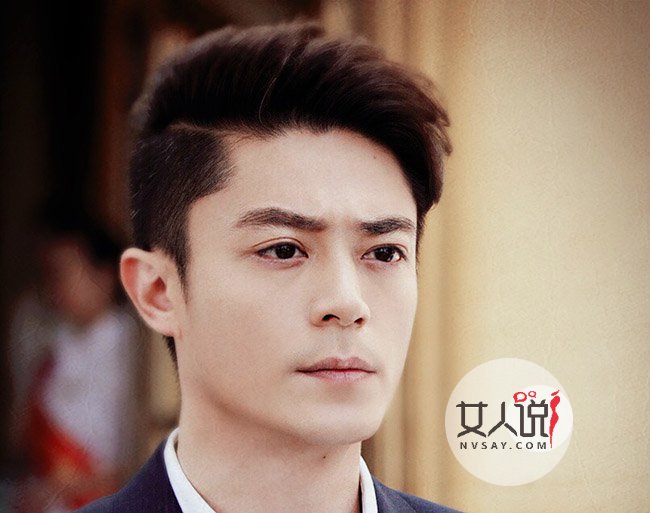 霍建華個人資料及年齡揭秘，霍建華個人資料、年齡大揭秘