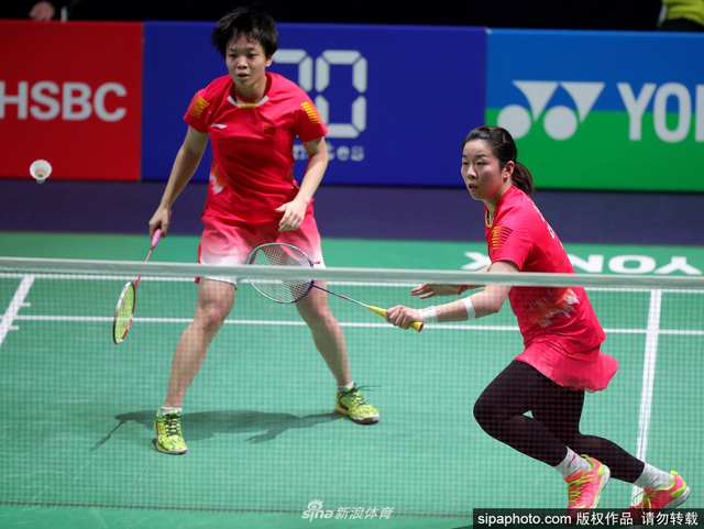 揭秘劉伯溫930四肖選一肖的神秘面紗，劉伯溫四肖選一肖的神秘面紗揭秘