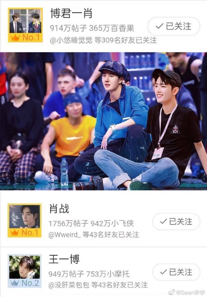 王中王一肖中特資料詳解，王中王一肖中特資料深度解析