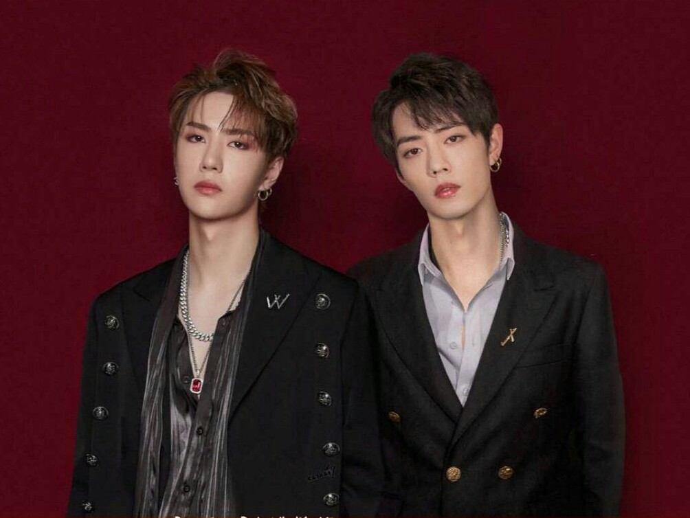 王中王一肖資料詳解，一探究竟的全方位解析，王中王一肖全方位深度解析，資料詳解與探究真相