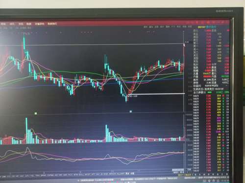 探索福瑞股份股吧的獨(dú)特魅力，一個(gè)全方位解析的視角，福瑞股份股吧的獨(dú)特魅力，全方位解析視角