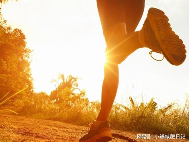 懶人福音！揭秘適合懶人的減肥秘訣，懶人福音，揭秘輕松減肥秘訣！