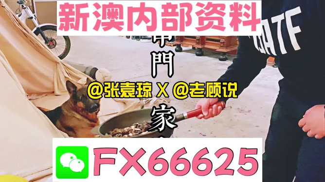 新澳門精準(zhǔn)資料大全管家婆料，探索與解析，澳門精準(zhǔn)資料大全解析，探索管家婆料內(nèi)幕