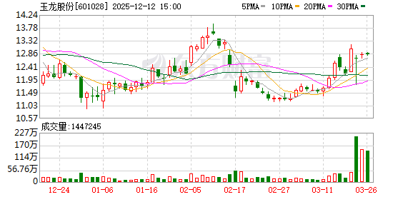 玉龍股份股吧，深度解析與前景展望，玉龍股份股吧深度解析及前景展望
