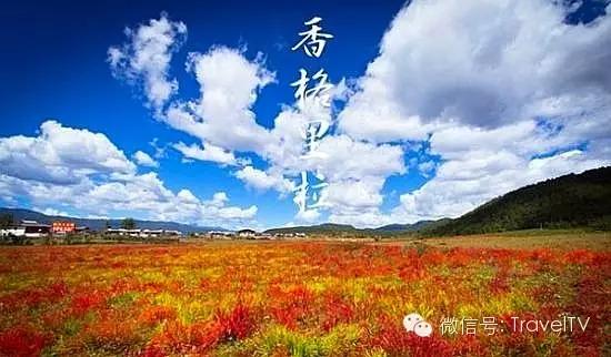 金秋十月，探尋最適合你的旅游目的地，金秋十月，探尋最佳旅游目的地之旅