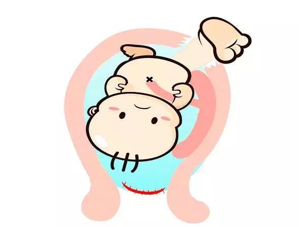 孕囊算不算一條生命，深度解析胚胎早期發(fā)育的奧秘，孕囊與胚胎早期發(fā)育，深度解析一條生命的誕生奧秘