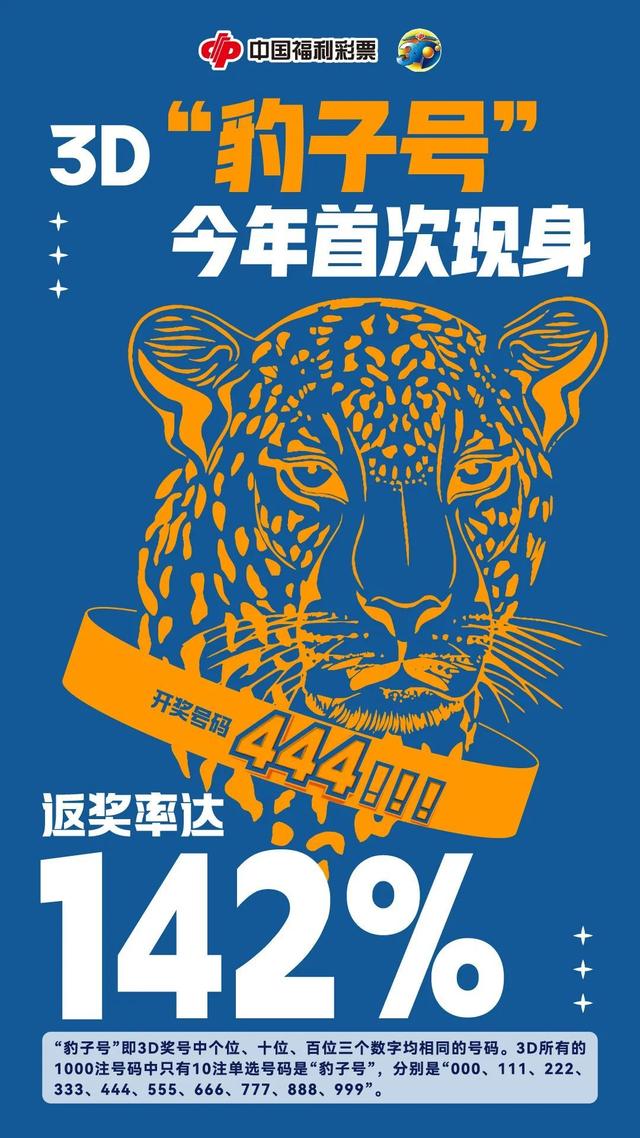 王中王金錢豹一肖中特，揭秘背后的神秘故事與SEO奧秘，揭秘王中王金錢豹背后的神秘故事與SEO奧秘