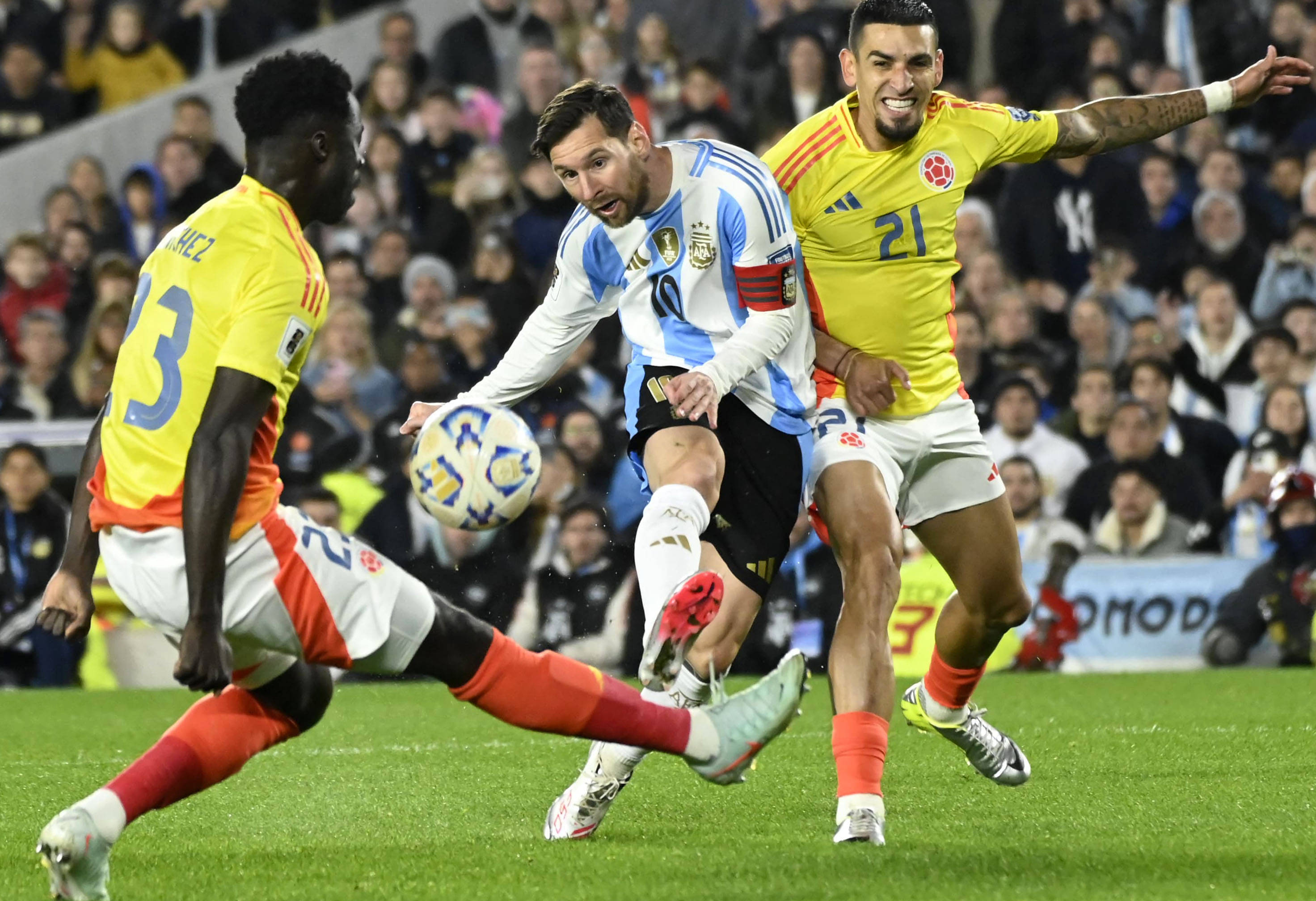 王中王一肖一特一，探尋獨特魅力與卓越成就，探尋王中王一肖的獨特魅力與卓越成就