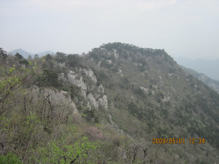 天目山風(fēng)景區(qū)，自然美景的瑰寶，天目山風(fēng)景區(qū)，自然美景的絕美瑰寶