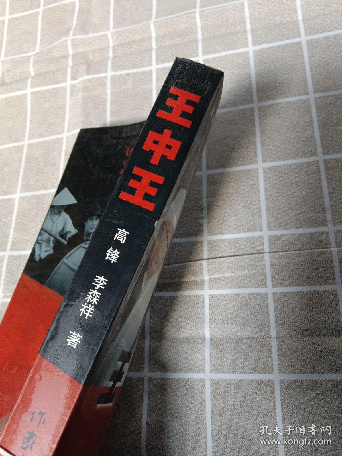 王中王資料一肖中官家，深度解析與探索，王中王資料揭秘，一肖中官家的深度解析與探索