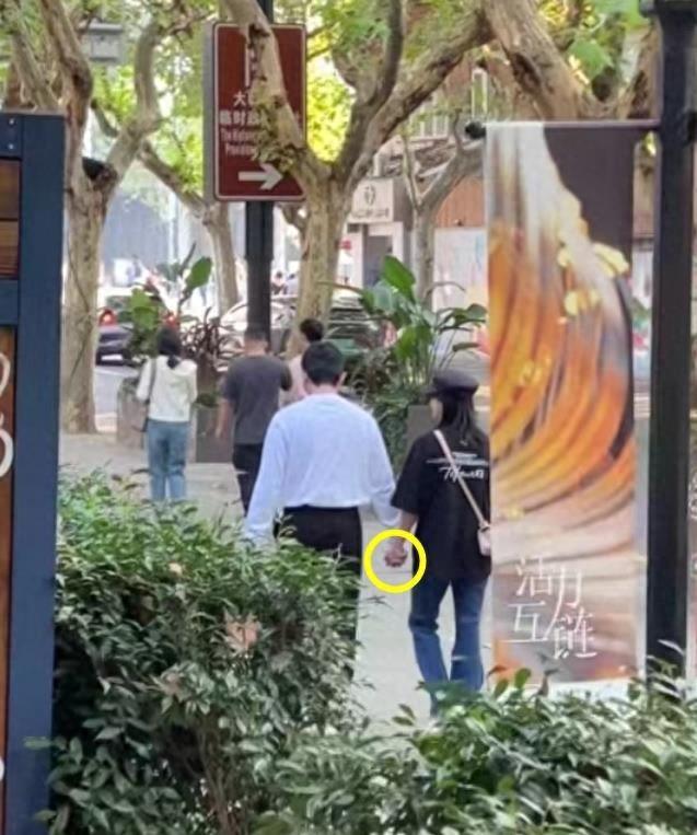 鮑蕾個(gè)人資料圖片，深度解析與探索，鮑蕾個(gè)人資料圖片，深度探究與揭秘