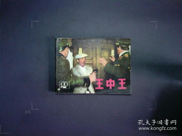 正版王中王平特一肖，深度解析與探索，正版王中王平特一肖深度解析與探索揭秘