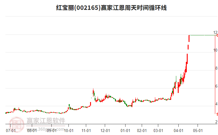 紅寶麗股票，投資潛力與市場前景分析，紅寶麗股票，投資潛力與市場前景深度剖析