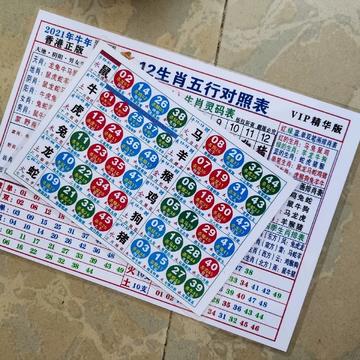 探索神秘的生肖之謎，揭秘肖十二碼中的生肖奧秘，揭秘生肖之謎，探索神秘的肖十二碼奧秘